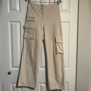 Aritzia Picture Cargo Pants